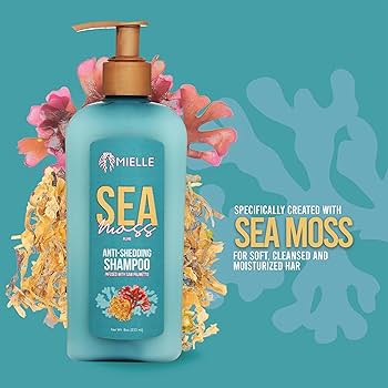 Mielle Sea Moss Anti Shedding Shampoo 8 OZ