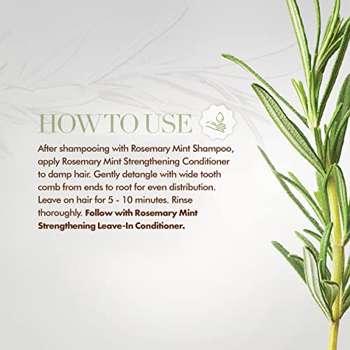 Mielle Rosemary Mint Strengthening Conditioner 12 Fl Oz