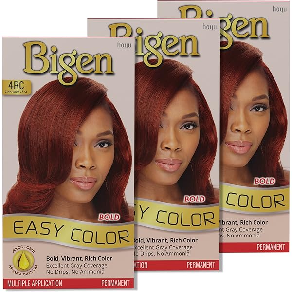 Bigen Cinnamon Spice Permanent Hair Color Kit with Aloe & Olive Oil