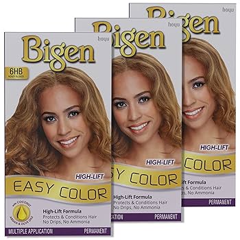 Bigen Easy Color High-Lift 6HB Honey Blonde Hair Dye