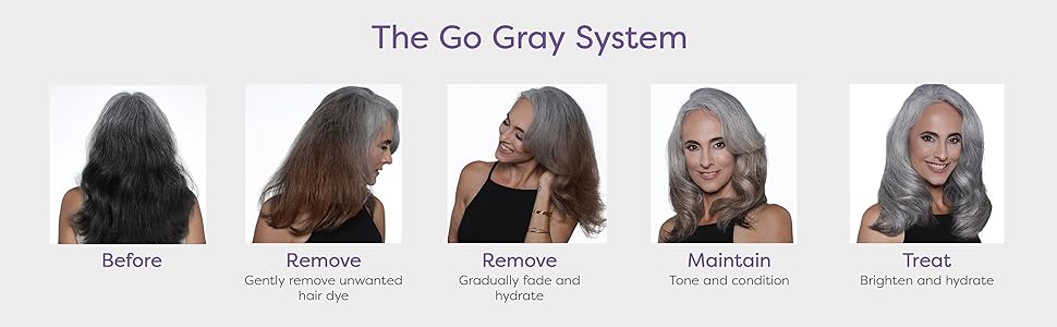 Go Gray Revitalizing Treatment Kit for Hair Dye Removal