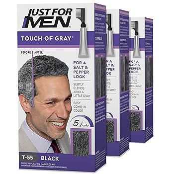 Just For Men Touch of Gray Hair Color, Black