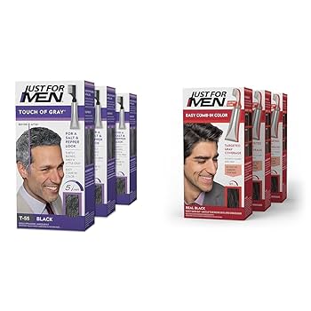 Just For Men Touch of Gray Hair Color, Black